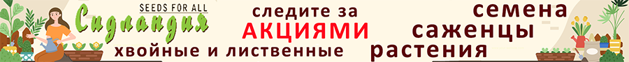 купить семена и саженцы декоративных и экзотических растений в магазине питомника Сидландия | 3seed.ru